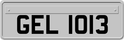 GEL1013