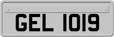 GEL1019