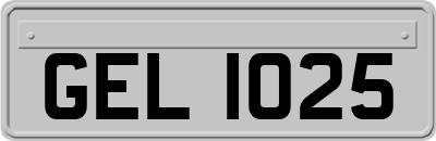 GEL1025