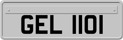 GEL1101