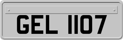 GEL1107