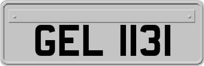 GEL1131
