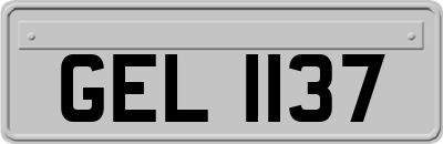 GEL1137