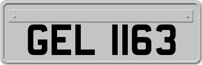 GEL1163