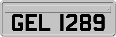 GEL1289