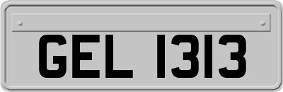 GEL1313