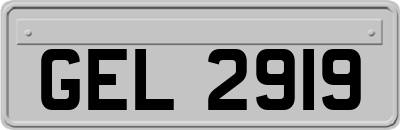 GEL2919