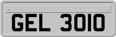 GEL3010