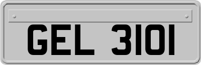 GEL3101