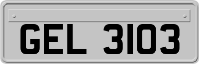 GEL3103