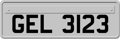 GEL3123