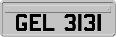 GEL3131