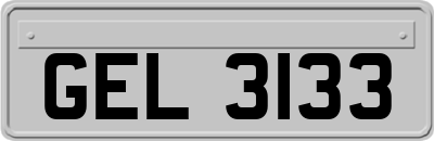 GEL3133