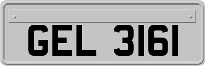GEL3161
