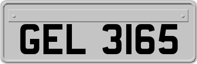 GEL3165