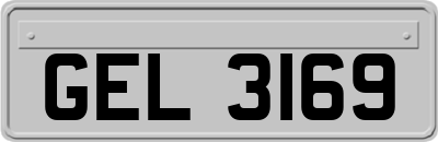GEL3169