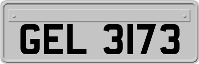 GEL3173