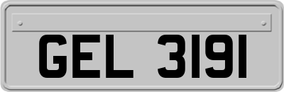 GEL3191