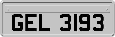 GEL3193