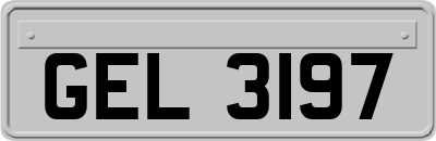 GEL3197