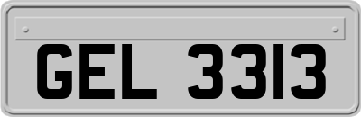 GEL3313