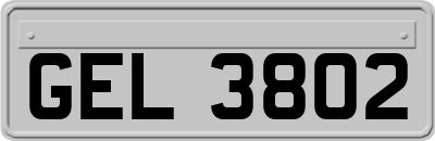 GEL3802