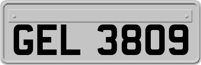 GEL3809