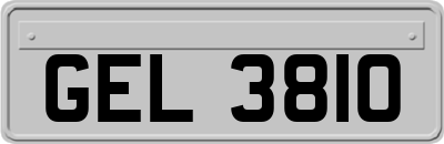 GEL3810