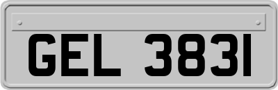 GEL3831