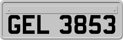 GEL3853