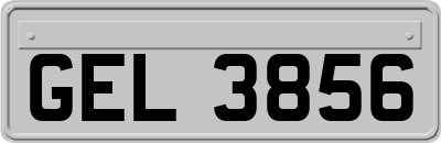 GEL3856