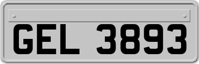 GEL3893