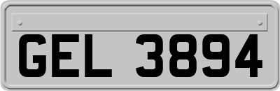 GEL3894