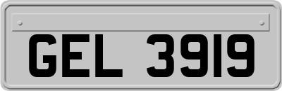 GEL3919