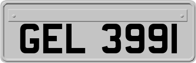 GEL3991