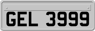 GEL3999