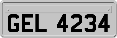 GEL4234