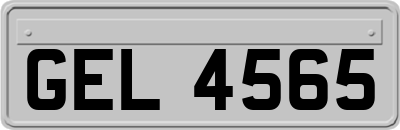 GEL4565