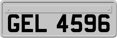 GEL4596