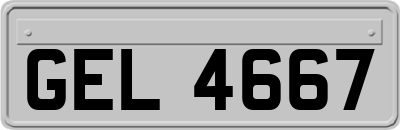 GEL4667