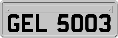 GEL5003