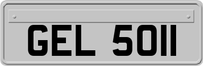 GEL5011
