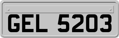 GEL5203