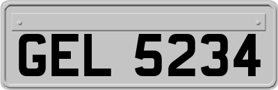 GEL5234