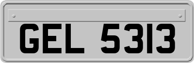 GEL5313