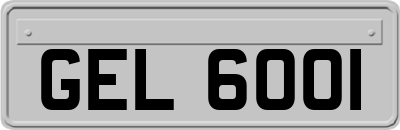 GEL6001