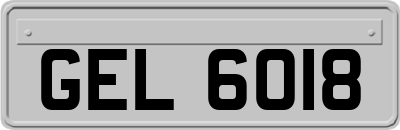 GEL6018