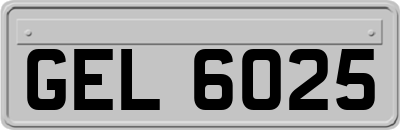 GEL6025