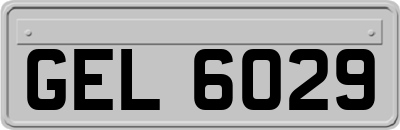 GEL6029