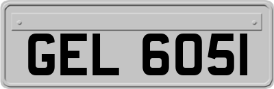 GEL6051